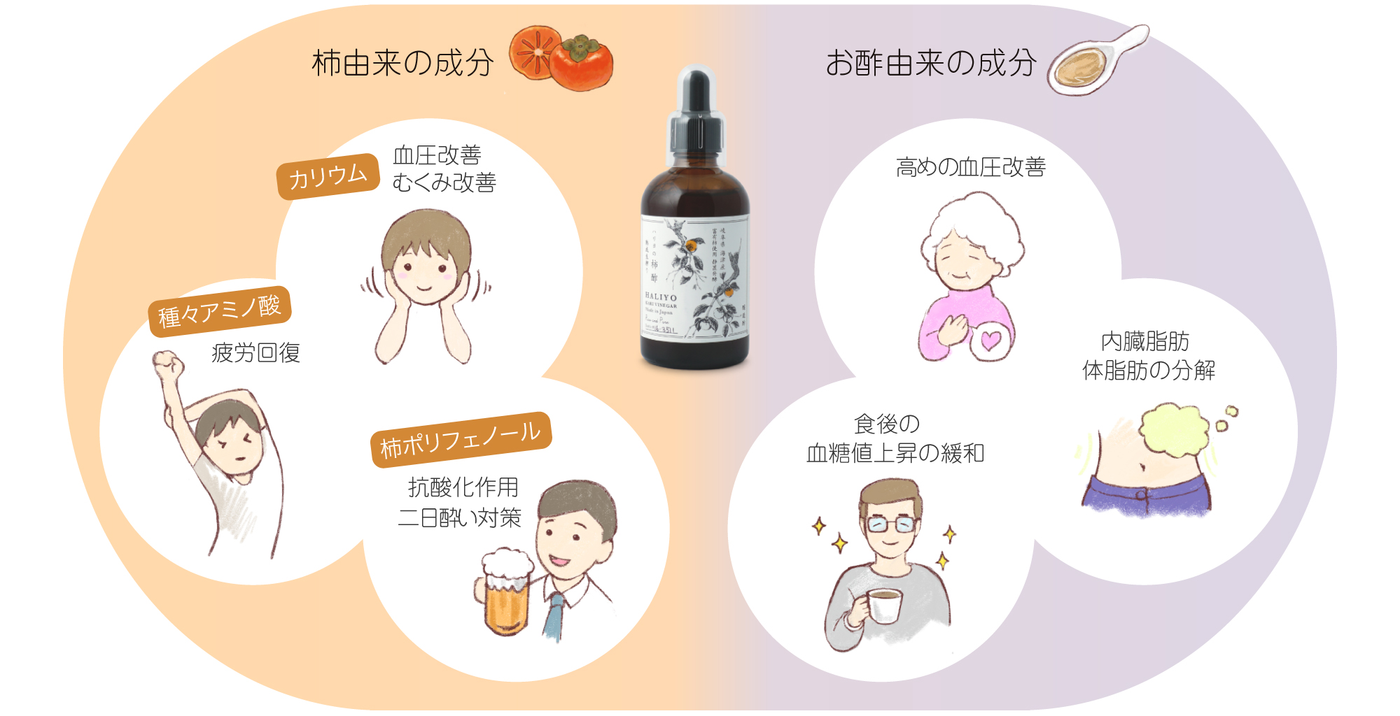 柿由来の成分と酢の成分